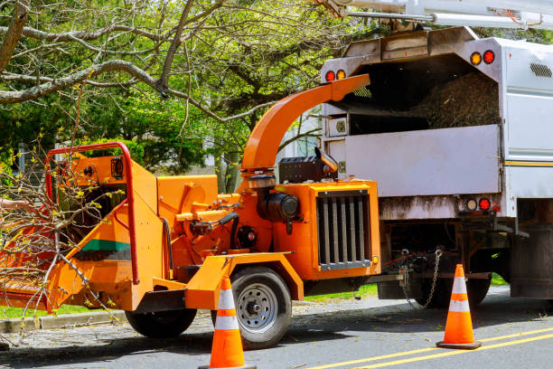Best Firewood Processing and Delivery  in Arbuckle, CA